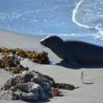 Cambria_0231 (November 04, 2012)